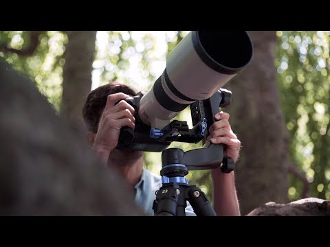 Miniatura del v&iacute;deo