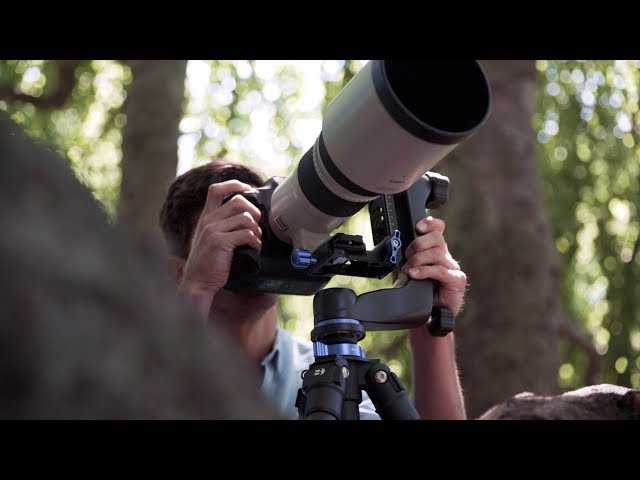 Vidéo BENRO GH5C Rotule pendulaire carbone 30kg