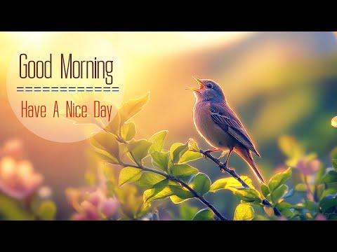 POWERFUL MORNING MUSIC - Wake Up Happy and Full of Positive Energy - Soft Morning Meditation Music