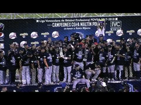 CLIP SOBRE CELEBRACIÓN DE CARIBES DE ANZOATEGUI