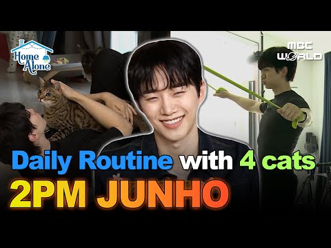 [Sub] 2PM Junho’s Workout Routine with His 4 Lovely Cats😺💕 #2pm #junho #typhoonfamily