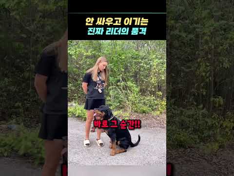 안 싸우고 이기는 진짜 리더의 품격