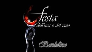 preview picture of video 'Festa dell'uva e del vino di Bardolino - 5 Ottobre 2013'