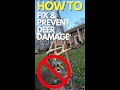 How To Fix & Prevent Deer Damage To Trees