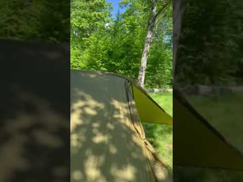 dispersed camping in well maintained grassy clearing