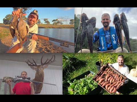 A Hunter's Lifestyle || Duck Shoot, Rifle Specs, Fishing, Sweet Potato, Food Self Sufficiency