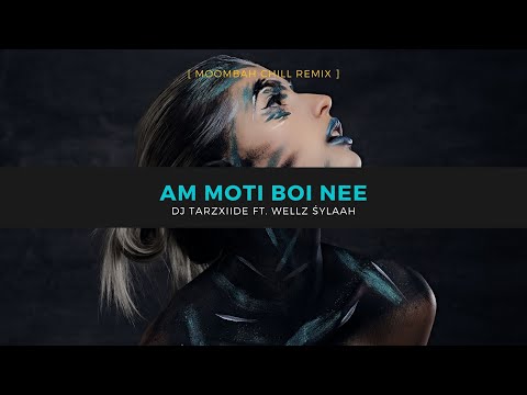 AM MOTI BOI NEE [Moombah Chill Remix] by DJ TarzXiide ft. WellZ Śylaah