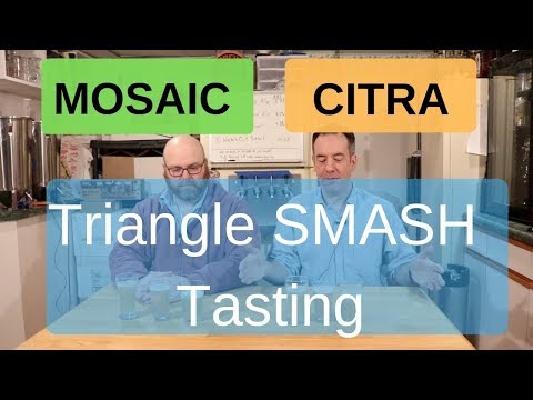 Citra Hops vs. Mosiac Hops - SMaSH Beer Triangle Taste Test