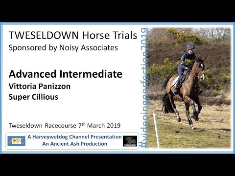 Tweseldown Horse Trials 2019: Vittoria Panizzon Super Cillious