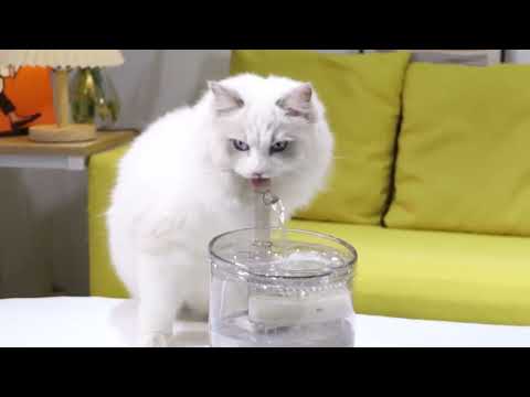 Фонтанчик для кота NPET WF050 1,5 л с фильтром, Прозрачный - фото 1 - id-p1456288345