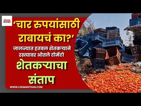 ‘चार रुपयांसाठी राबायचं का?’ जालन्यात हतबल शेतकऱ्याने रस्त्यावर ओतले टोमॅटो