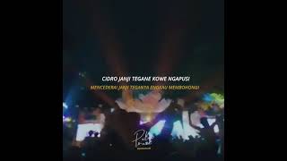Download lagu Cidro Janji Vidio Buat Story Wa mp3