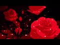 Taio Cruz Dynamite Slowed Reverb