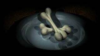 Marilyn Manson Food Pyramid