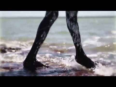 The Lúrra Collective - 'New Future, Reaching High'