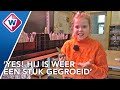 Wie kweekt de beste tulp? - OMROEP WEST