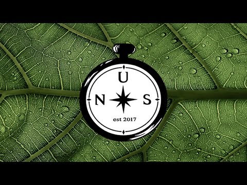 Lite Fortunato - 1ofAKind Ft. NayshGle (Prod. Blackice)