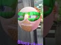 Number Blues Clues