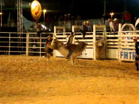Brasilia Rodeio Show 2º dia