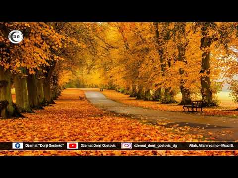 Allah, Allah recimo - Muaz Bošnjaković (ILAHIJA BEZ MUZIKE)