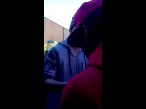 Freestyle sebitas three vs kino plex