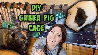 I built a DIY Guinea Pig Enclosure