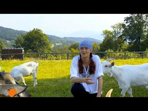 JOLINKOWO - Coś się kończy...coś zaczyna...