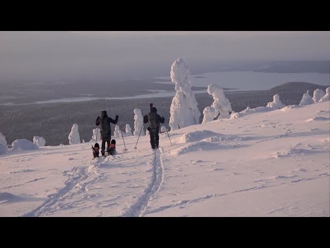 Riekkojahti tunturissa