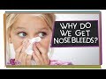 Why Do We Get Nosebleeds