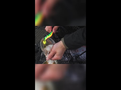 Fish a new venue and WIN 🎣  #foxrage #lurefishing #predatorchallenge