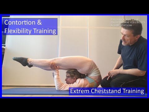 53 Flexyart Contortion Training: Cheststand Forearm  - Also for Yoga, Pole, Ballet, Dance People