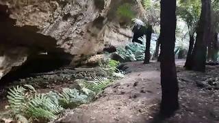 preview picture of video 'The Glow Worm Tunnel - Wollemi National Park, Australia'