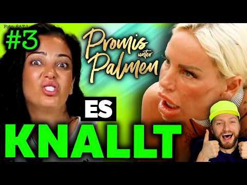 Gina-Lisa PLATZT LIPPE.. äh KRAGEN! Läster-ATTACKE ESKALIERT! PROMIS UNTER PALMEN 2026 Folge 3