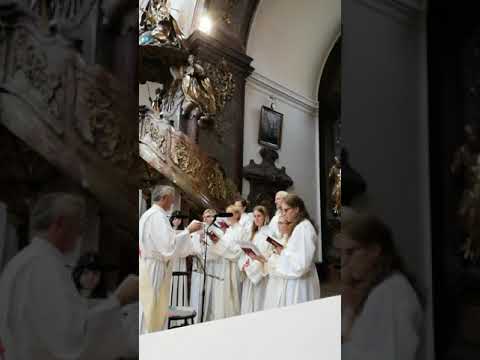 Zdeněk Pololáník - antifona k přijímání "Až se Kristus ukáže" Schóla od sv. Mikuláše