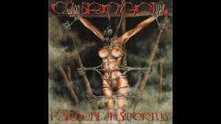 Eisregen - Farbenfinsternis