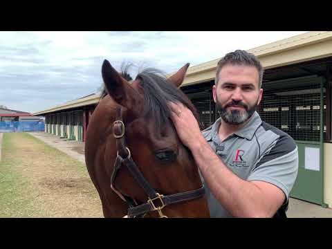 RELIABLE MAN x THE WARRIOR WOMAN Colt