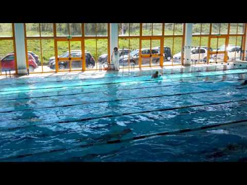 Mercante, Primoli, Zanelli, Di Francesco 4x50 mx - Civitanova 2017