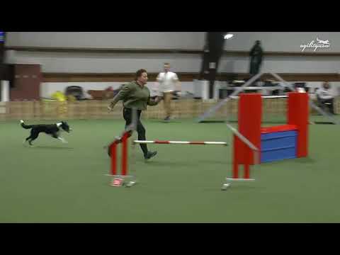 Gold Rush Competition 2022 / Sabine Kreutz with Foo - 2nd Large Individual