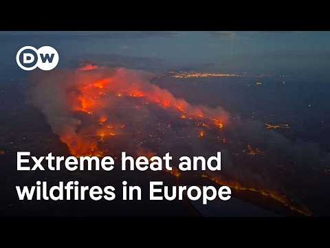 Heatwave and wildfires: Europe braces for another round of peak temperatures | DW News