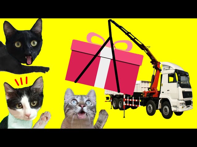 Vídeo relacionado con Auiremrti llavero de gato de acero inoxidable, Llavero de gato dulce, Regalos divertidos para mujeres y hombres, Amantes de los gatos, Accesorio de gato negro genial, Regalo de amistad