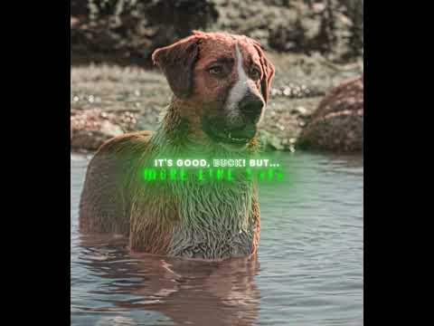 "Buck is Smart!" - Call of the Wild Edit | Камин - EMIN & JONY (slowed & reverb)