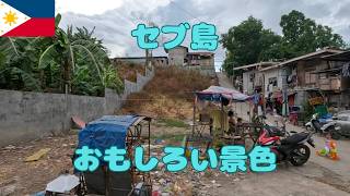 セブ島の路地裏を歩いてこんな景色を見るだけでおもしろいです