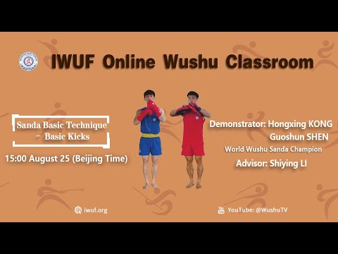 49. Sanda Basic Technique - Basic Kicks (1/2)