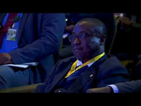 Racism and tribalism are one and the same thing