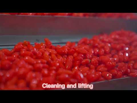 Shanghai EasyReal Wolfberry|Goji berries processing line