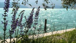 Johann Sebastian Bach's 'Jesu Joy Of Man's Desiring' played by Pete Lashley