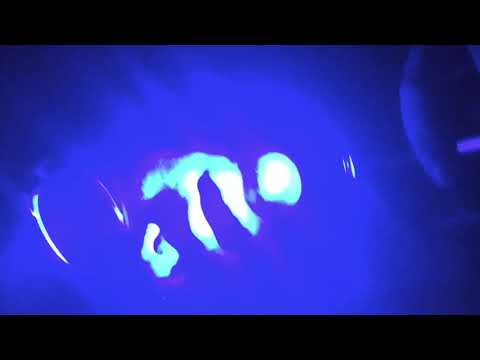 Og Nilaf  -  Pussy Willow