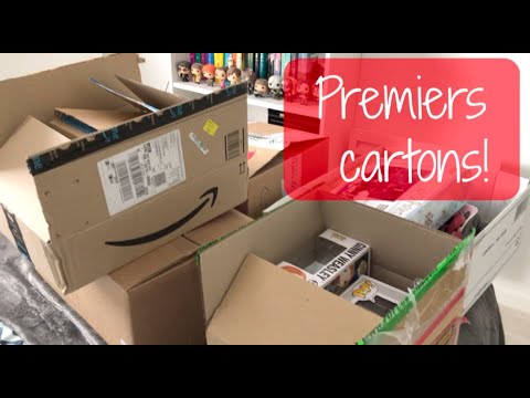 Vlog #37 :Premiers cartons!