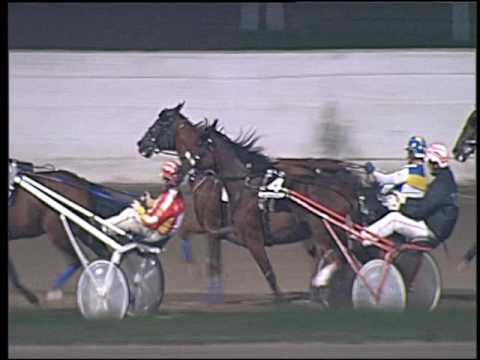 Trotto 07/10/2016 - 7ª corsa