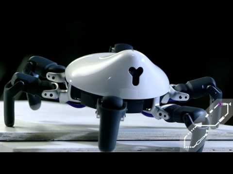 Vidéo YouTube - 5OQrAyfnBBo